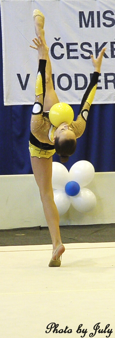 jezova.mic2